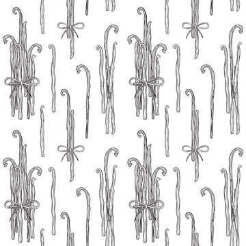 Hand-drawn seamless pattern made of vanilla pods and decorative bows on white background, graphic botanical detailed sketch
