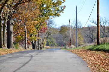rural road in autumn with stop sign