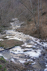 Fototapeta premium Winter forest stream landscape atmosphere of a cold frosty morning nature flora landscape shore covered with ice snow fallen leaves