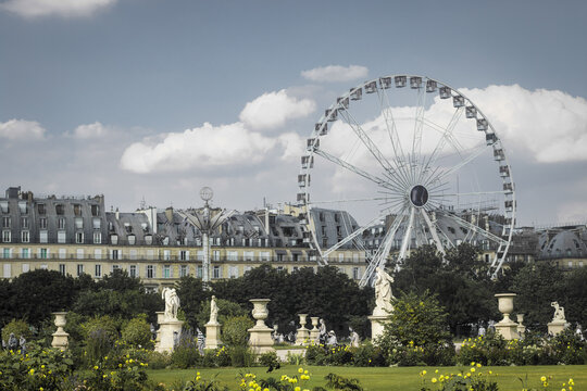 View of the Roue de Paris Ferris wheel rises majestically above the manicured gardens, framed by Parisian buildings and the soft blue sky, Paris, &Atilde;Žle-de-France, France.