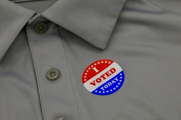 I voted today decal
