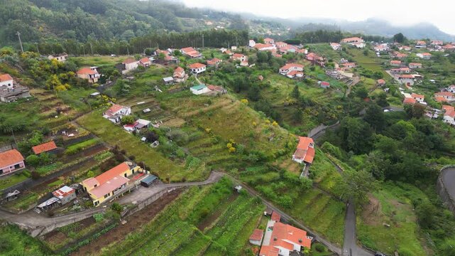 Camacha town, Madeira Island, Portugal