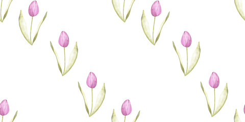 seamless pattern of tender pink tulips on white background, hand drawn watercolor