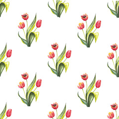 seamless pattern of red tulips with leaves on white background, hand drawn watercolor