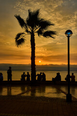 As the sun begins its descent over the Pacific Ocean, locals and travelers alike gather along the cliffs of Miraflores, Lima. Framed by towering palms, the sky transforms into a canvas of amber 