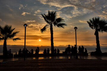 As the sun begins its descent over the Pacific Ocean, locals and travelers alike gather along the cliffs of Miraflores, Lima. Framed by towering palms, the sky transforms into a canvas of amber 