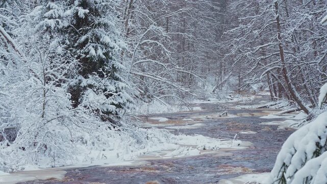 4k, A panoramic view of the brown Roshchinka River, partially covered with ice, during the daytime, Lindulovskaya grove, Leningrad Oblast, Russia