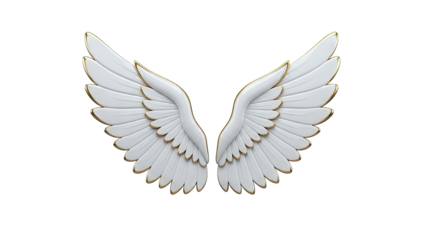 White Angel Wings with Gold Trim