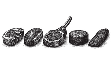 A scratchboard illustration of five different cuts of raw beef arranged in a line on a plain white background, perfect for culinary or butcher shop themes.