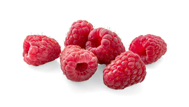 Vibrant Raspberries in Close-Up on a White Background. Hope of raspberries isolated