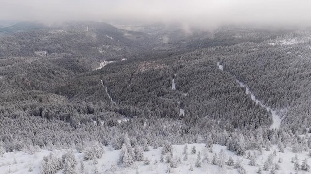 Winter im Nordschwarzwald - Luftaufnahme