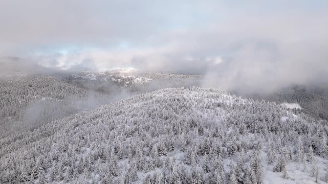 Winter im Nordschwarzwald - Luftaufnahme