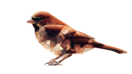 Brown bird with geometric pattern isolated on white background