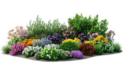 Vibrant colorful flowers and plants in a garden setting isolated on white background