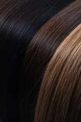 Close-up of three shades of natural human hair, from dark brown to blonde