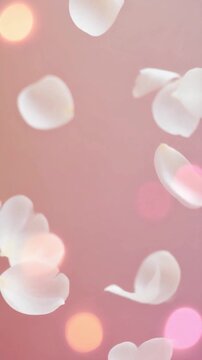 Soft focus white rose petals falling gently against a warm pink background with bokeh lights creating a romantic and serene atmosphere in a close-up macro shot