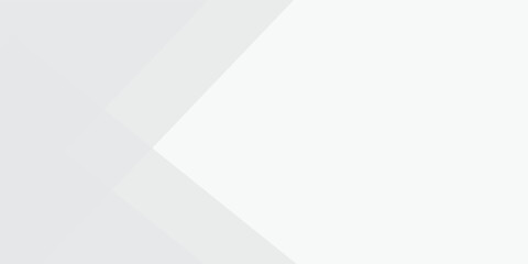 modern white and grey abstract background with elegant bright diagonal lines. Vector Illustration