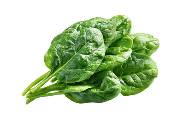 A bunch of fresh spinach leaves. They are arranged in a neat pile, png