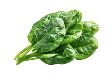 A bunch of fresh spinach leaves. They are arranged in a neat pile, png
