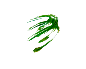 Green and yellow abstract painting strokes. Expressive motion creates harmony. Isolated on transparent background.