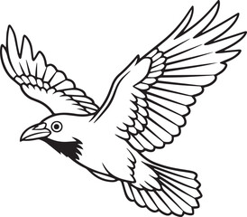 Fototapeta premium Black and White Flying Raven Line Art Vector Illustration