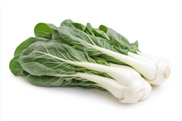 Fresh Bok Choy with Crisp White Stems