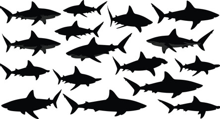 Shark silhouette collection, marine predator set, black vector illustration, ocean wildlife, multiple species, isolated on white background design template artwork