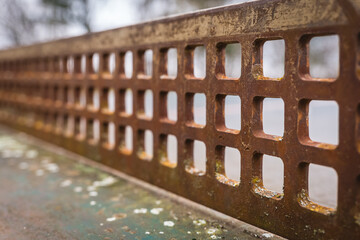 Rusty metal surface with geometric patterns showcasing nature's slow reclaiming in a quiet outdoor setting