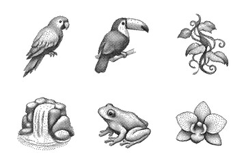 Obraz premium Tropical wildlife and nature in stipple art style