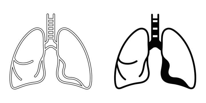 Human lungs anatomy icon with line art and solid silhouette styles, isolated vector illustration of respiratory system and pulmonary health.