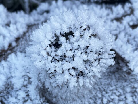 Intricate frost crystals forming delicate patterns on a cold surface. Close-up view of delicate ice formations and frost patterns created by freezing temperatures and moisture in the air