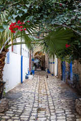 Narrow streets of medina, Bizerte, Tunisia