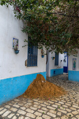 Narrow streets of medina, Bizerte, Tunisia