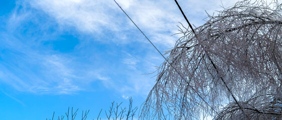 Power line failure due to ice storm, fallen tree branches on electric wires.