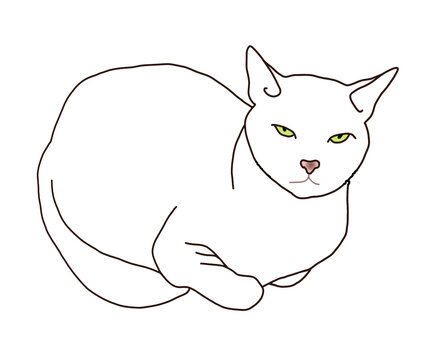 Creative wallpaper with animal. Cute cartoon pet. Silhouette of a lying white cat. Stylized portrait of homy. Cozy decoration. Digital illustration for print or tattoo. Pretty kitty.