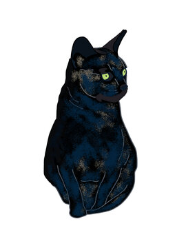 Creative wallpaper with animal. Cute cartoon pet. Silhouette of a black cat. Stylized portrait of homy. Halloween witchcraft decoration. Digital illustration for print or tattoo. Pretty kitty.