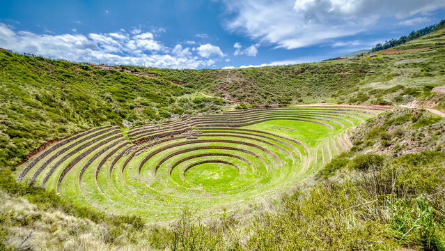 View of ancient circular terraces carved into the earth create a mesmerizing green and brown landscape under a vibrant blue sky, Moray, Peru.