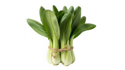 Fresh green bok choy bundle tied with twine isolated on transparent background