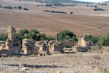 The archaeological site of Chemtou in Tunisia is known for its ancient marble quarries and Roman remains, illustrating the region&rsquo;s importance as a major source of high-quality stone in antiquity.