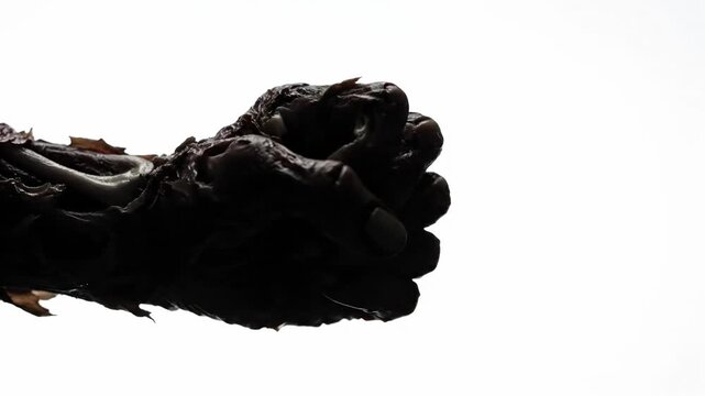 Creepy Zombie Hand Reaching Out From Darkness.