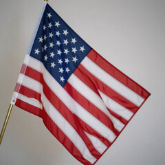 Obraz premium A thin red line adorns an American firefighter flag