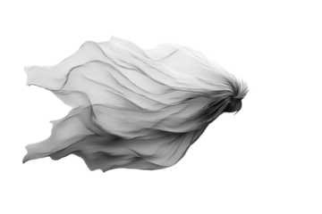 Top angle view of minimal product presentation on white surface isolated on transparent background