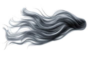 Minimal windy weather icon from above on bright white surface isolated on transparent background