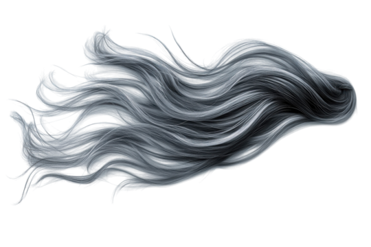 Minimal windy weather icon from above on bright white surface isolated on transparent background - Powered by Adobe