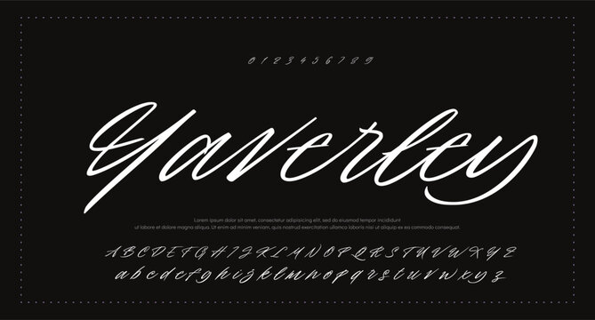 Script Elegant Signature Typeface. Lettering signature font isolated on grey background. brus style alphabet. Vector logo letters.  