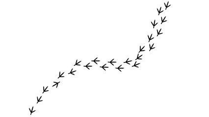 Footprints trail on a white background