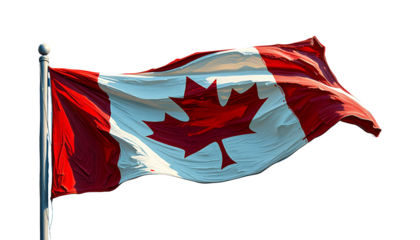 The Canadian flag is waving in the wind on a flagpole against a black background on transparent background