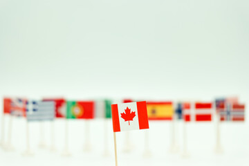 Small Canadian flag in front of various flags from different countries on a plain background during an educational event