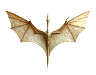  Schwebender Flugsaurier von oben gesehen, Draufsicht mit gespreizten Flügeln, minimalistische Komposition, isoliert auf transparentem Hintergrund