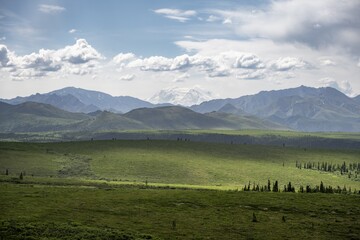 Tundra And Glaciated Peak Denali